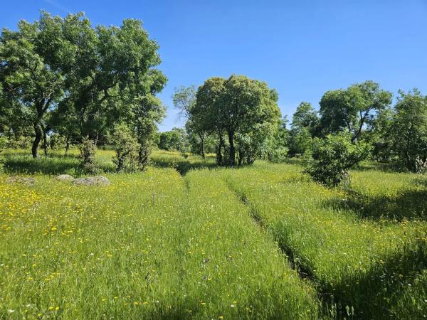 Terreno en M-623 s/n