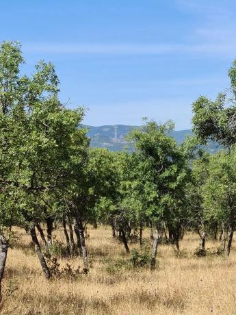 Terreno en M-623 s/n