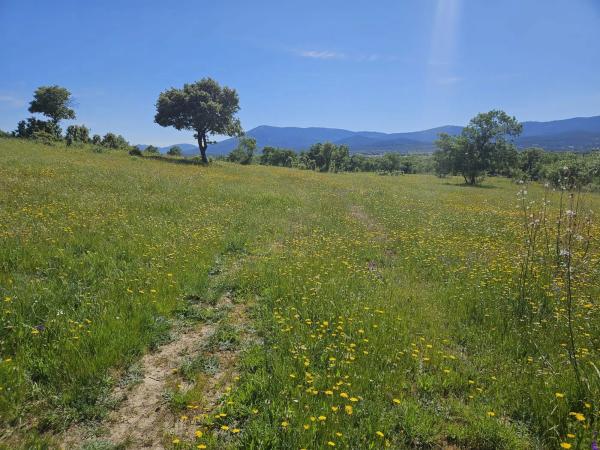 Terreno en M-623 s/n