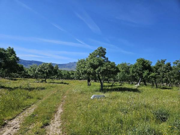 Terreno en M-623 s/n