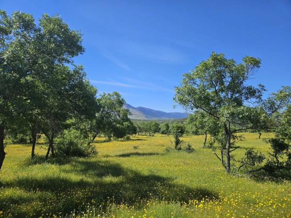 Terreno en M-623 s/n