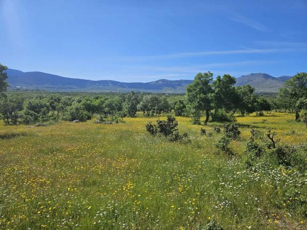 Terreno en M-623 s/n