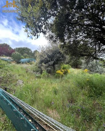 Terreno en calle del Cerro de San Pedro