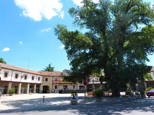 Terreno en calle del Cerro de San Pedro