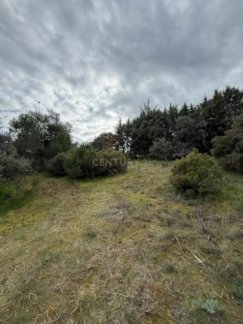 Terreno en calle Soria, 9