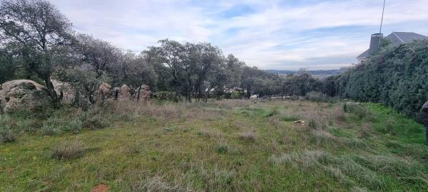 Terreno en calle Leo, 4