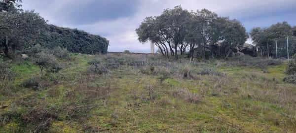 Terreno en calle Leo, 4