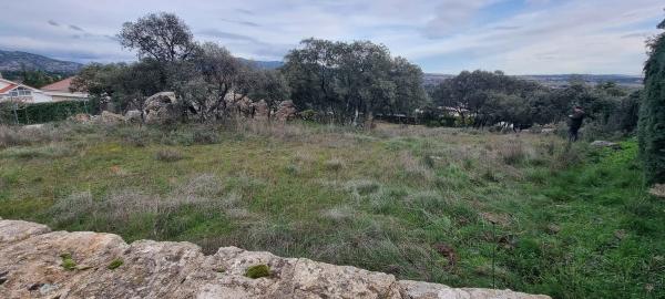 Terreno en calle Leo, 4