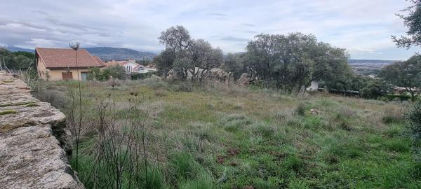 Terreno en calle Leo, 4