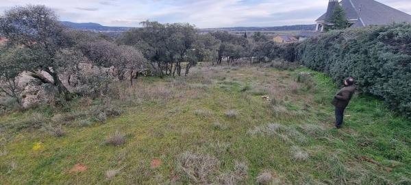 Terreno en calle Leo, 4
