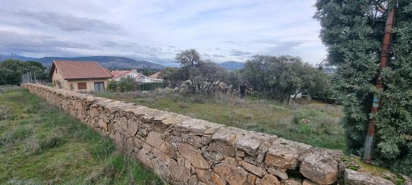 Terreno en calle Leo, 4
