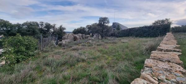 Terreno en calle Leo, 4