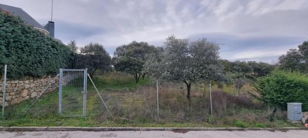Terreno en calle Leo, 4