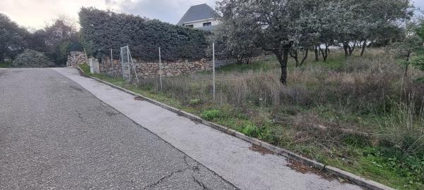 Terreno en calle Leo, 4