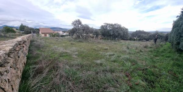 Terreno en calle Leo, 4