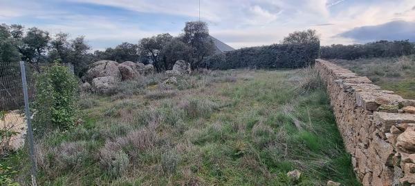 Terreno en calle Leo, 4