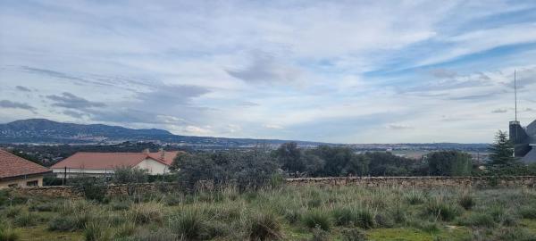 Terreno en calle Leo, 4