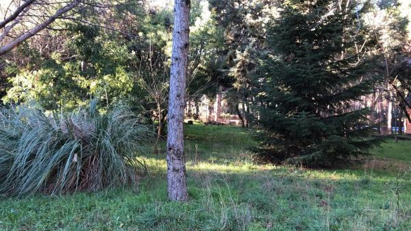 Terreno en calle Azaleas, 3