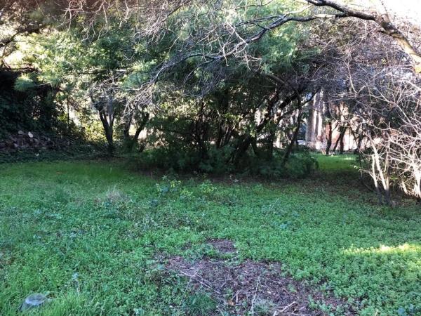 Terreno en calle Azaleas, 3