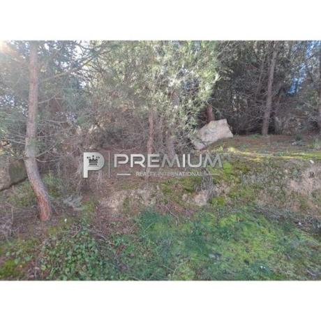 Terreno en Guadarrama