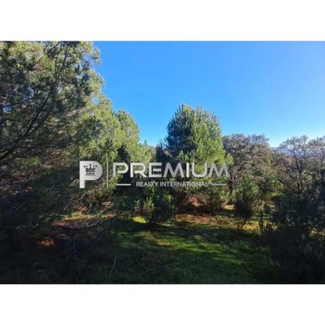 Terreno en Guadarrama