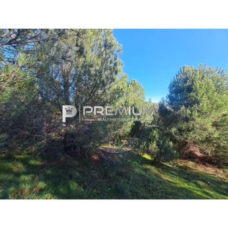 Terreno en Guadarrama