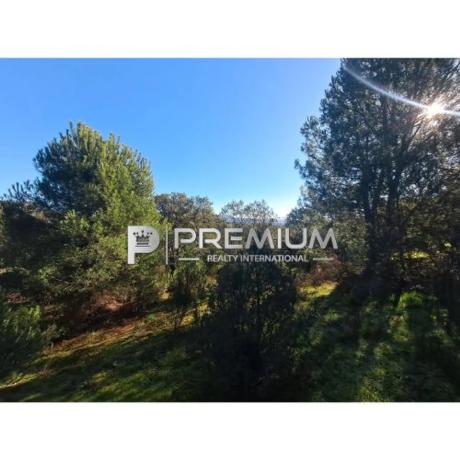 Terreno en Guadarrama