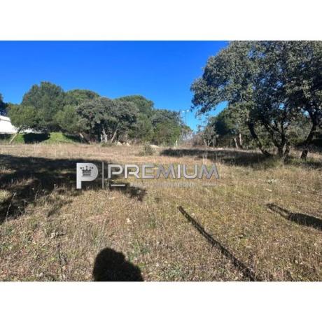 Terreno en Guadarrama