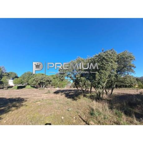 Terreno en Guadarrama