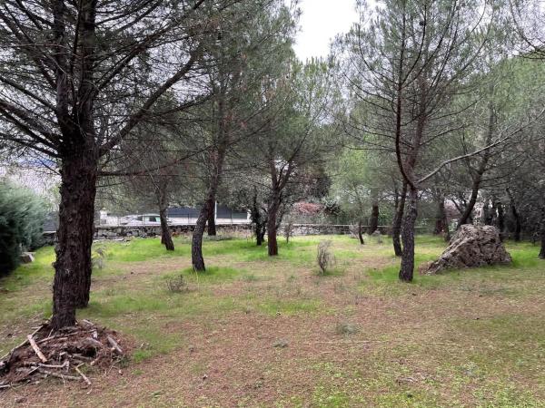 Terreno en calle Laccourreye