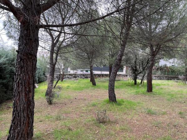 Terreno en calle Laccourreye