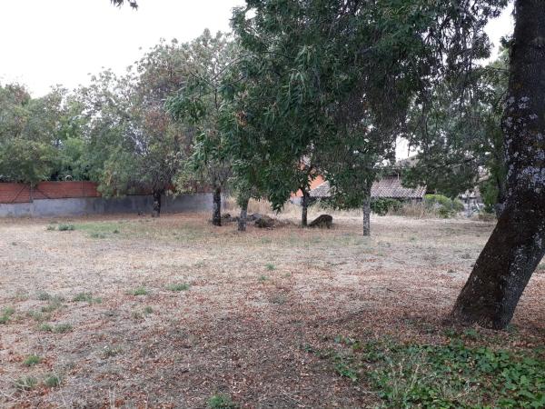 Terreno en calle Dos Hermanas, 19