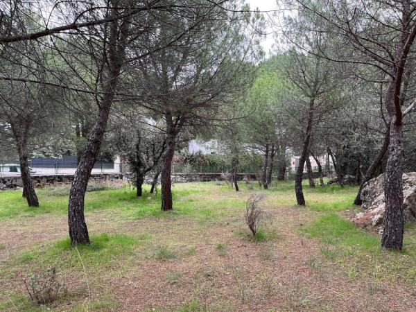 Terreno en calle Laccourreye