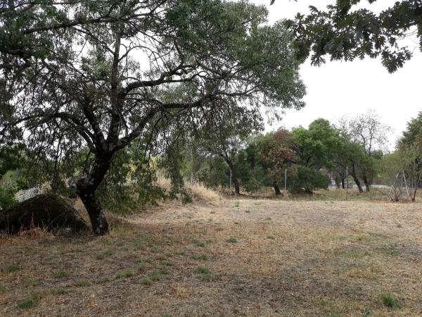 Terreno en calle Dos Hermanas, 19