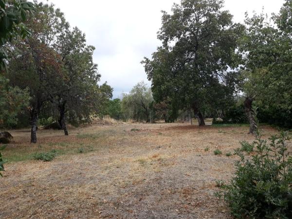 Terreno en calle Dos Hermanas, 19