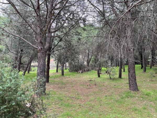 Terreno en calle Laccourreye