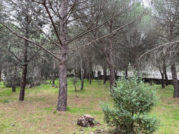 Terreno en calle Laccourreye