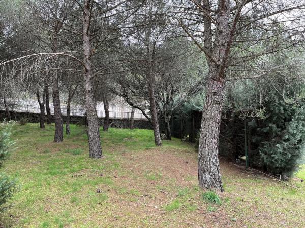 Terreno en calle Laccourreye