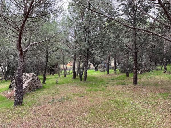 Terreno en calle Laccourreye