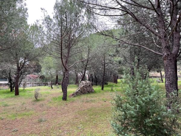 Terreno en calle Laccourreye