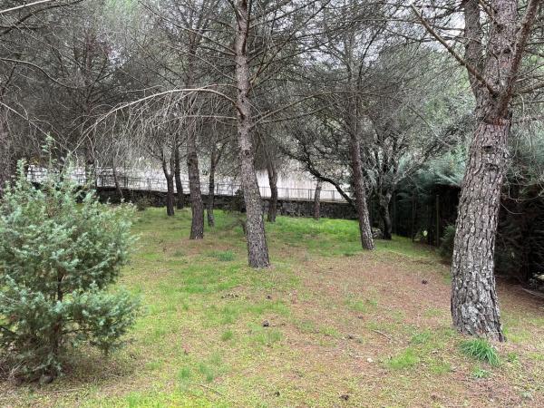 Terreno en calle Laccourreye