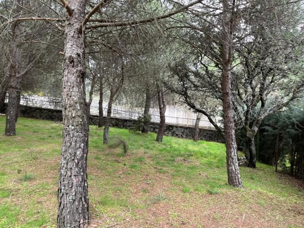 Terreno en calle Laccourreye