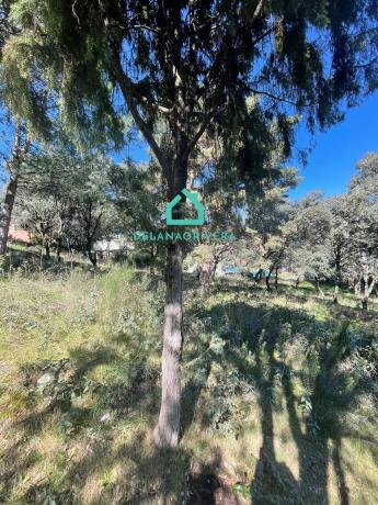 Terreno en guadarrama, 62