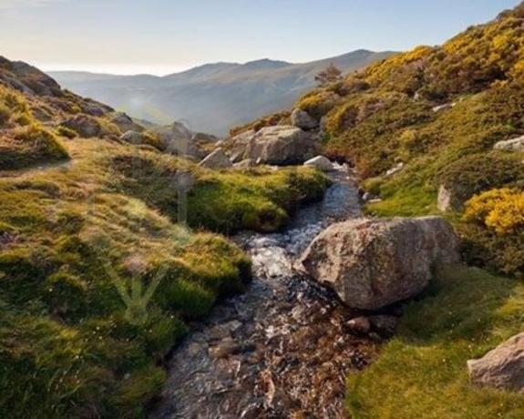 Terreno en calle de Severo Ochoa