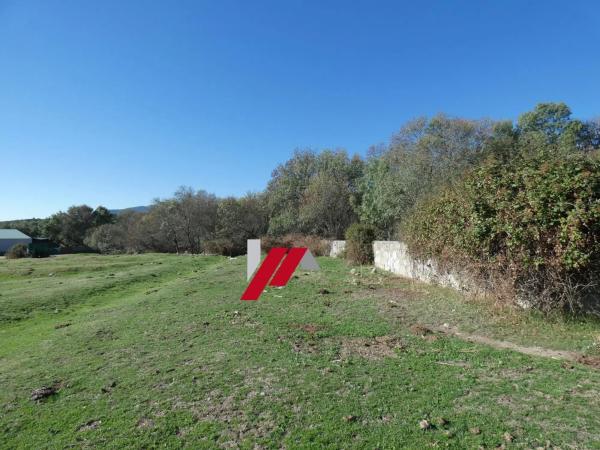 Terreno en calle de los Doctores Gómez Embuena
