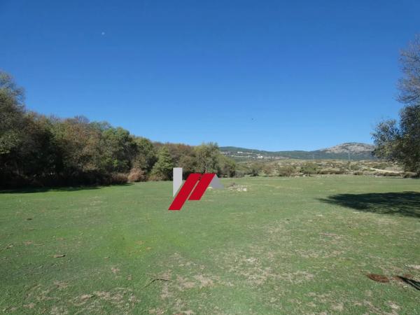 Terreno en calle de los Doctores Gómez Embuena