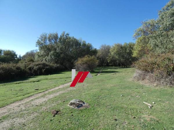 Terreno en calle de los Doctores Gómez Embuena