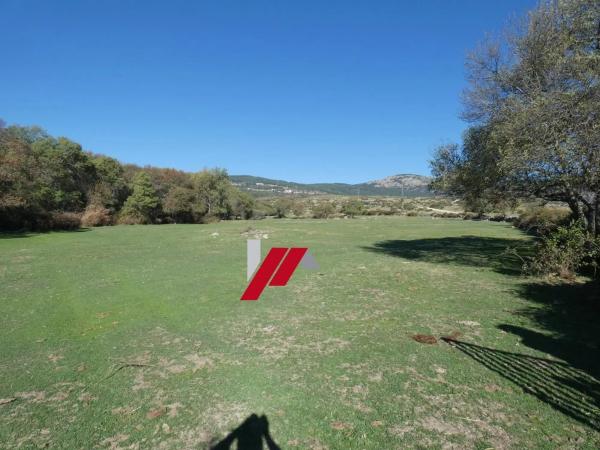 Terreno en calle de los Doctores Gómez Embuena
