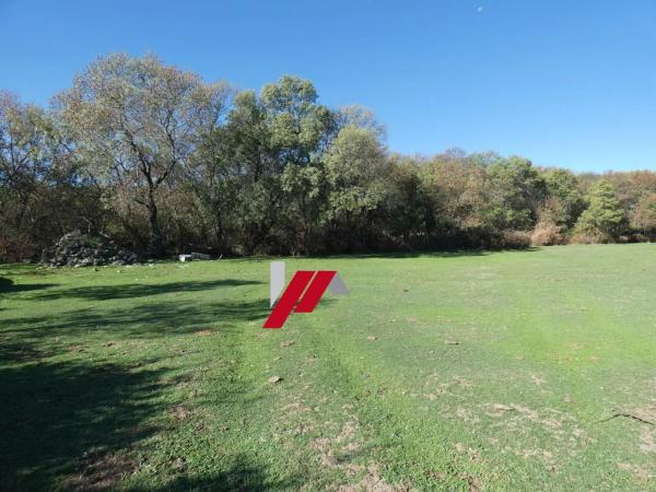Terreno en calle de los Doctores Gómez Embuena