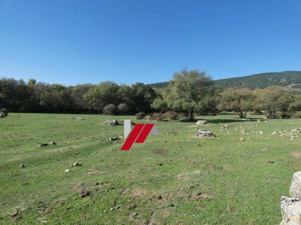 Terreno en calle de los Doctores Gómez Embuena
